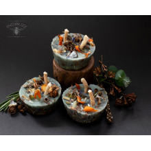 BEESWAX ECO FRIENDLY BOTANICAL FIRE STARTERS