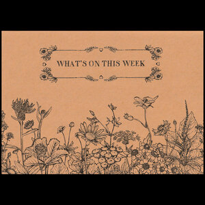 WILDFLOWER WEEKLY PLANNER NOTEPAD