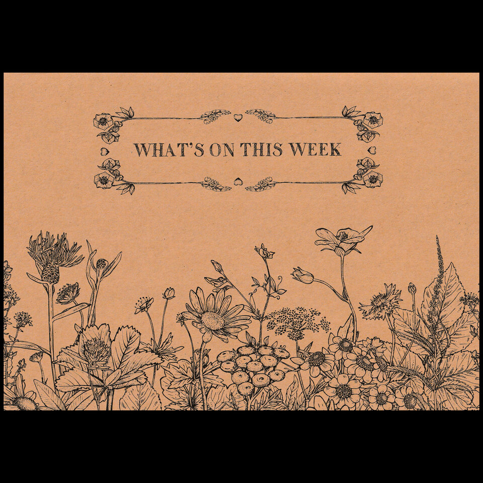 WILDFLOWER WEEKLY PLANNER NOTEPAD