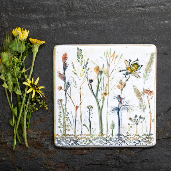 LARGE WILDFLOWER FRIDGE MAGNETS .... BOTANICAL FRIDGE ART ... WILDFLOWER ART