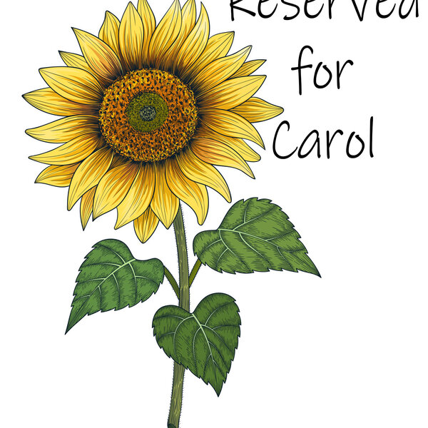 RESERVED FOR CAROL SUNFLOWER DEPOSIT
